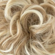 Ash Blonde Bun with Platinum Highlights
