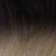 Black to Ash Blonde