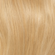 California Blonde